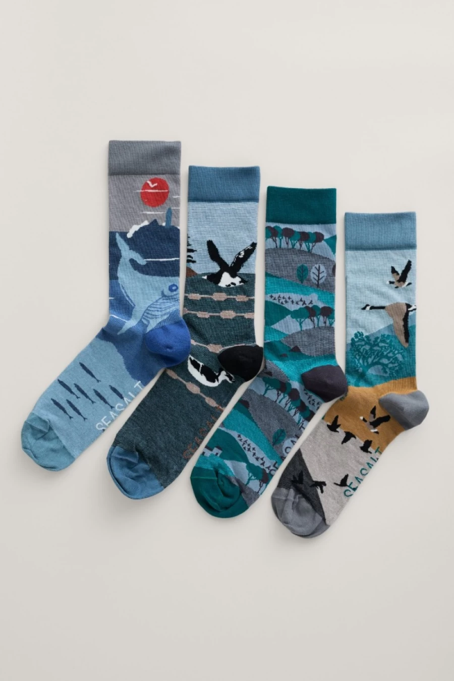 Seasalt Cornwall Men's Windyridge Mix Postcard Socks - Box of 4