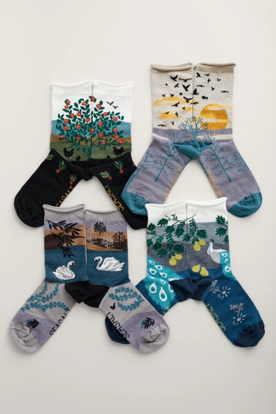 "Seasalt Cornwall Women's Novelty Postcard Socks - Pack of 4"